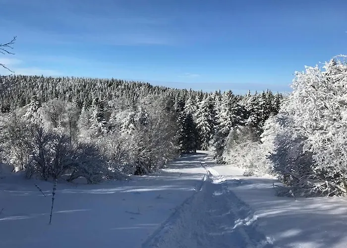 T3 Au Mont-dore Avec Wifi, Centre-ville, Pour 6 Pers. - Fr-1-608-17 Daire Le Mont-Dore