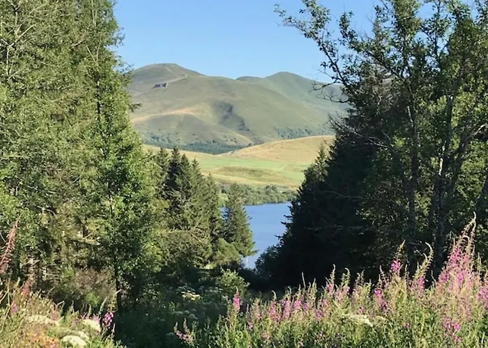 T3 Au Mont-dore Avec Wifi, Centre-ville, Pour 6 Pers. - Fr-1-608-17